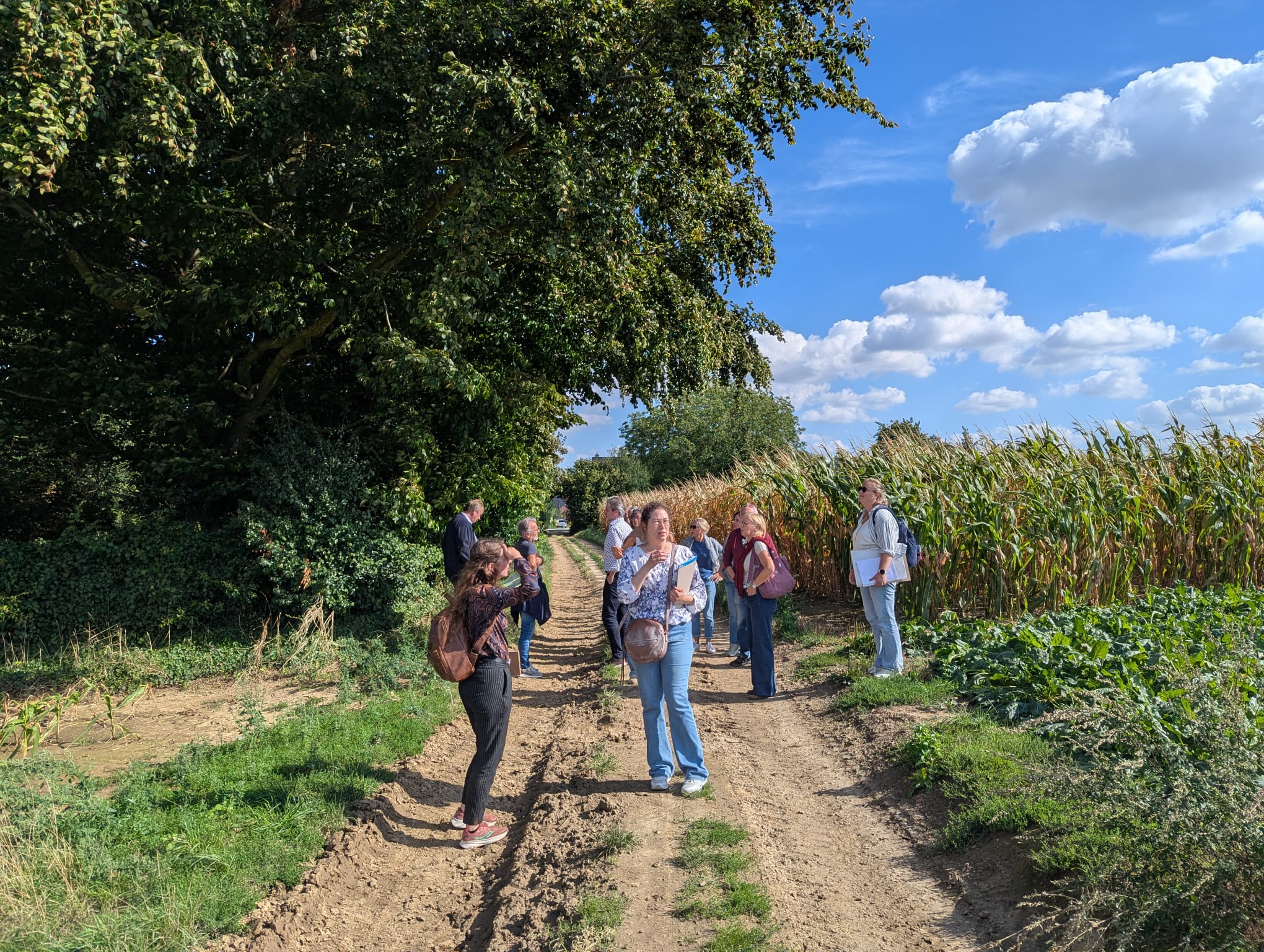 Marches exploratoires à Jodoigne : enrichir notre compréhension du territoire grâce aux habitants